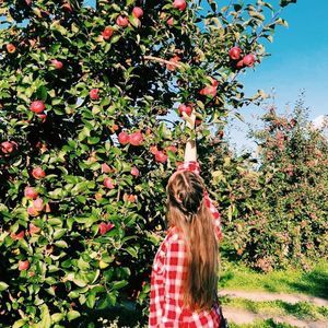 Meet your Posher, Jackie